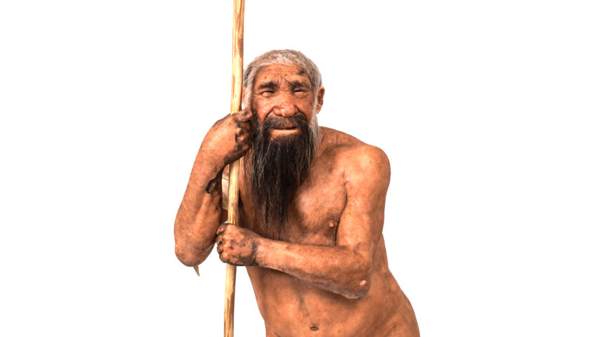 Ricostruzione in grandezza naturale di Homo neanderthalensis