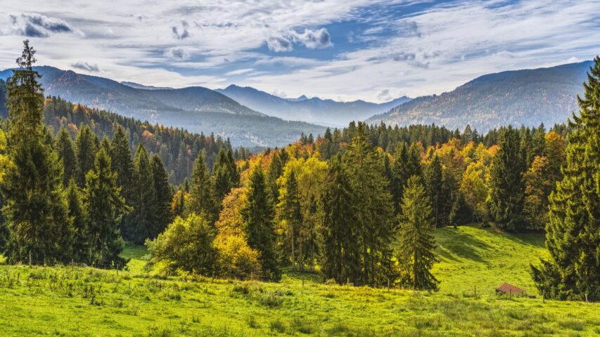 Un paesaggio montano con foresta di conifere all’inizio dell’autunno