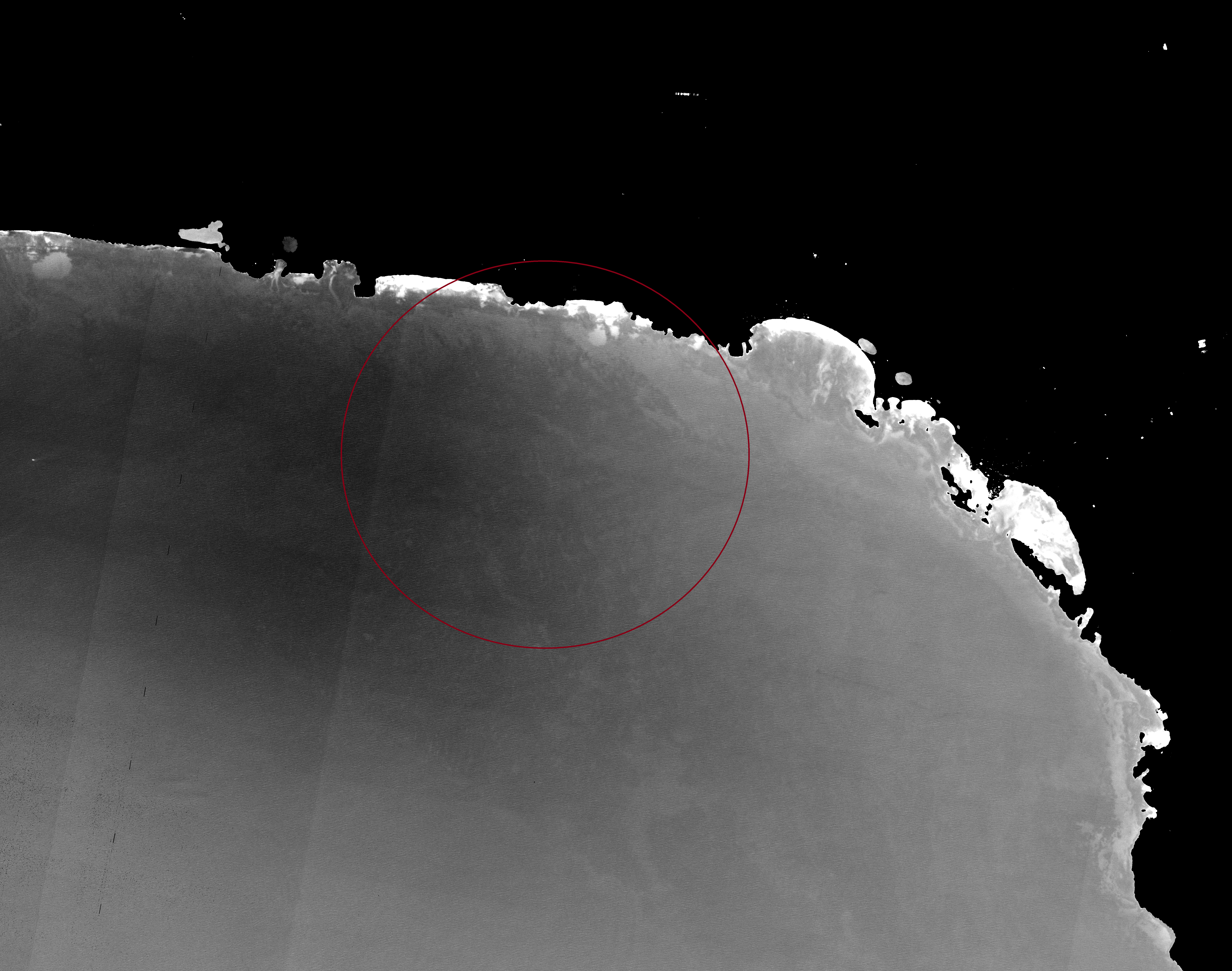 Processing of the previous image. In the circled area you can see a portion of the habitat made up of Posidonia oceanica.