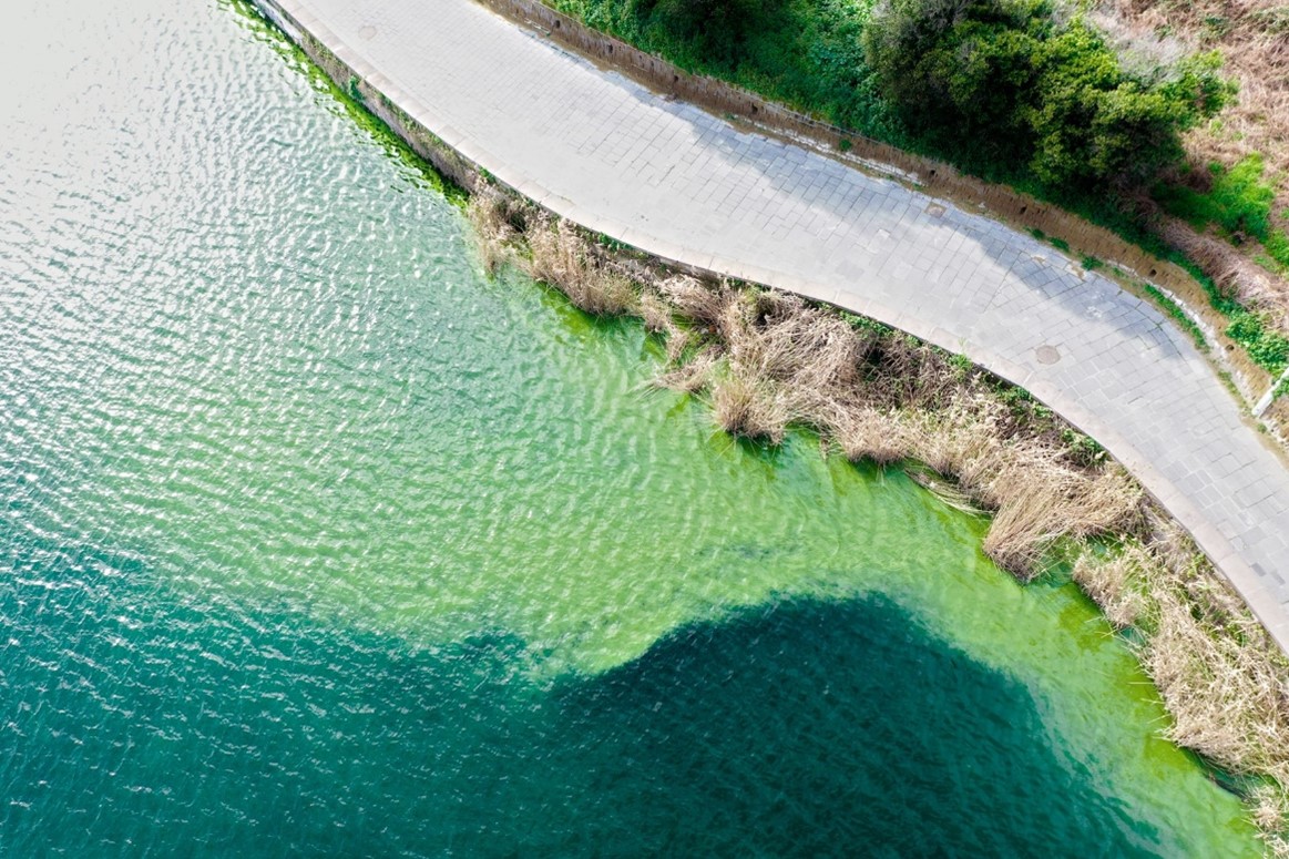 In the drone photo you can see a portion of Lake Averno covered in greenish foam