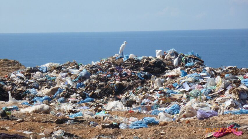 Sulla spiaggia si vede una montagnola di rifiuti plastici con in cima un airone