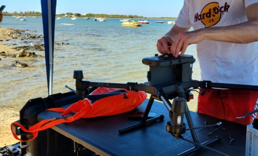 Il mare dall’alto: lo sguardo dell’ecologo marino