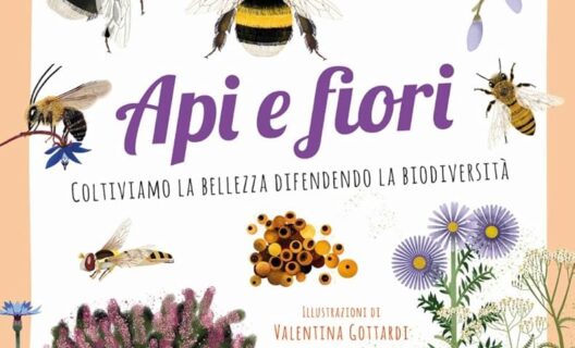 Api e fiori, coltiviamo la bellezza difendendo la biodiversità