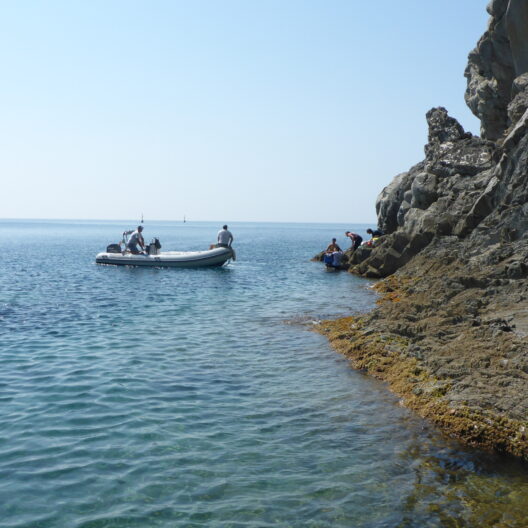 Ricercatori del team di Chiantore al lavoro sulla costa delle Cinque Terre. Nella foto si vede una porzione di costa.