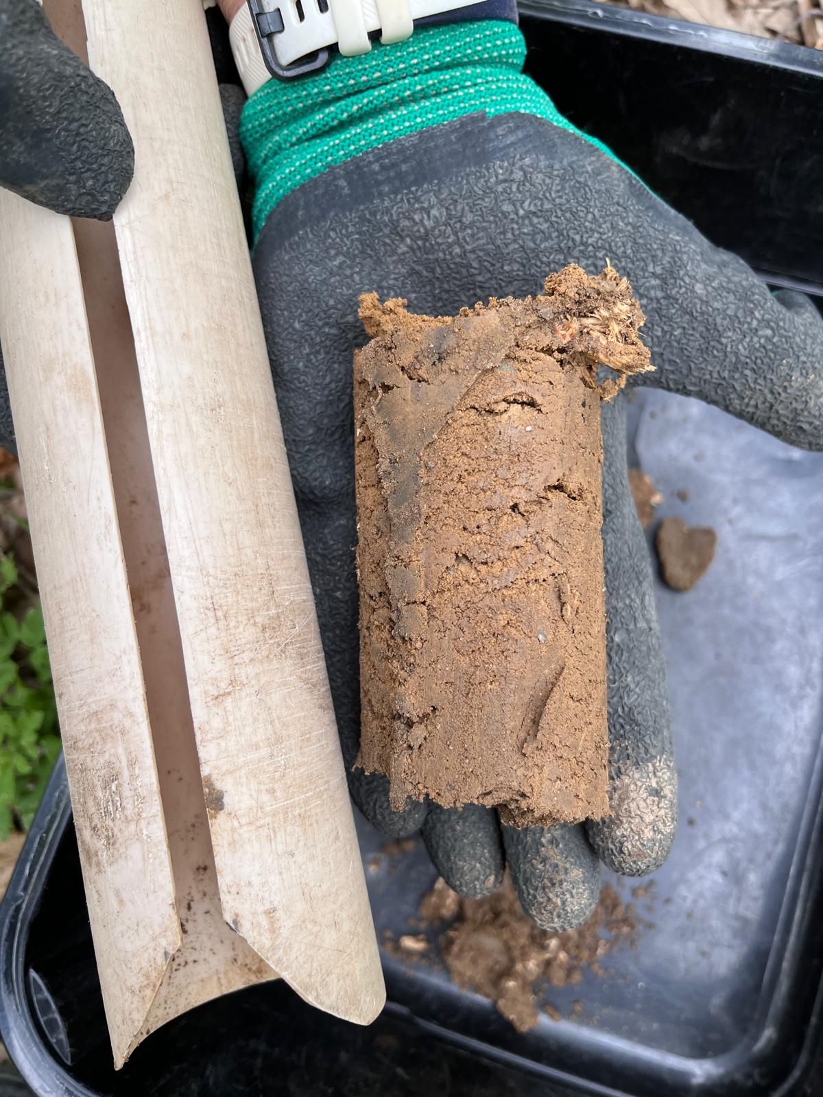 Una carota di suolo