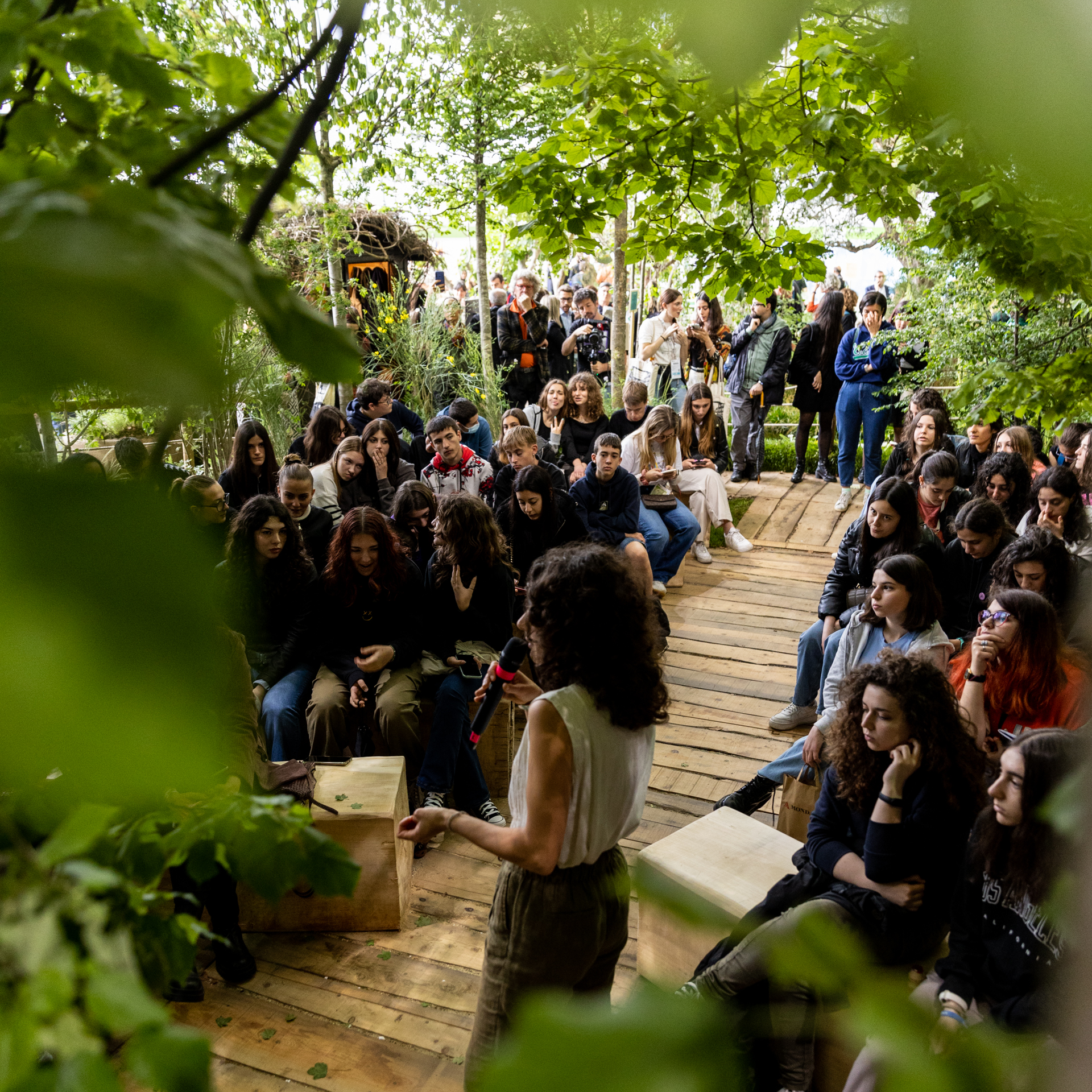 The writers' forest.