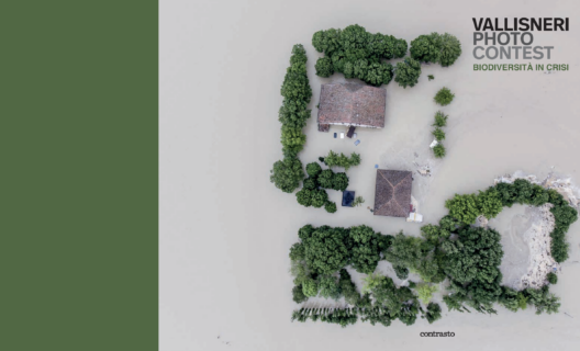 Vallisneri Photo Contest – Biodiversità in crisi