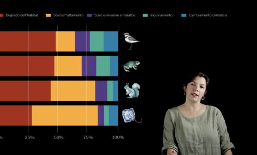 SBI – Species Biodiversity Investigation | Video introduttivo per docenti