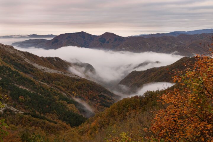 The Casentino Forests National Park is characterized by impressive forests, among the oldest in Europe, richly wooded and covering almost the entire territory of the park.